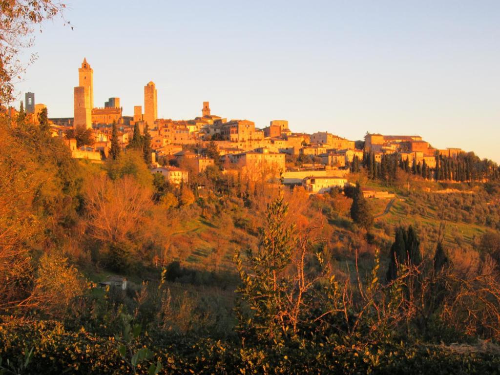 Agriturismo Il Colto San Gimignano Eksteriør billede