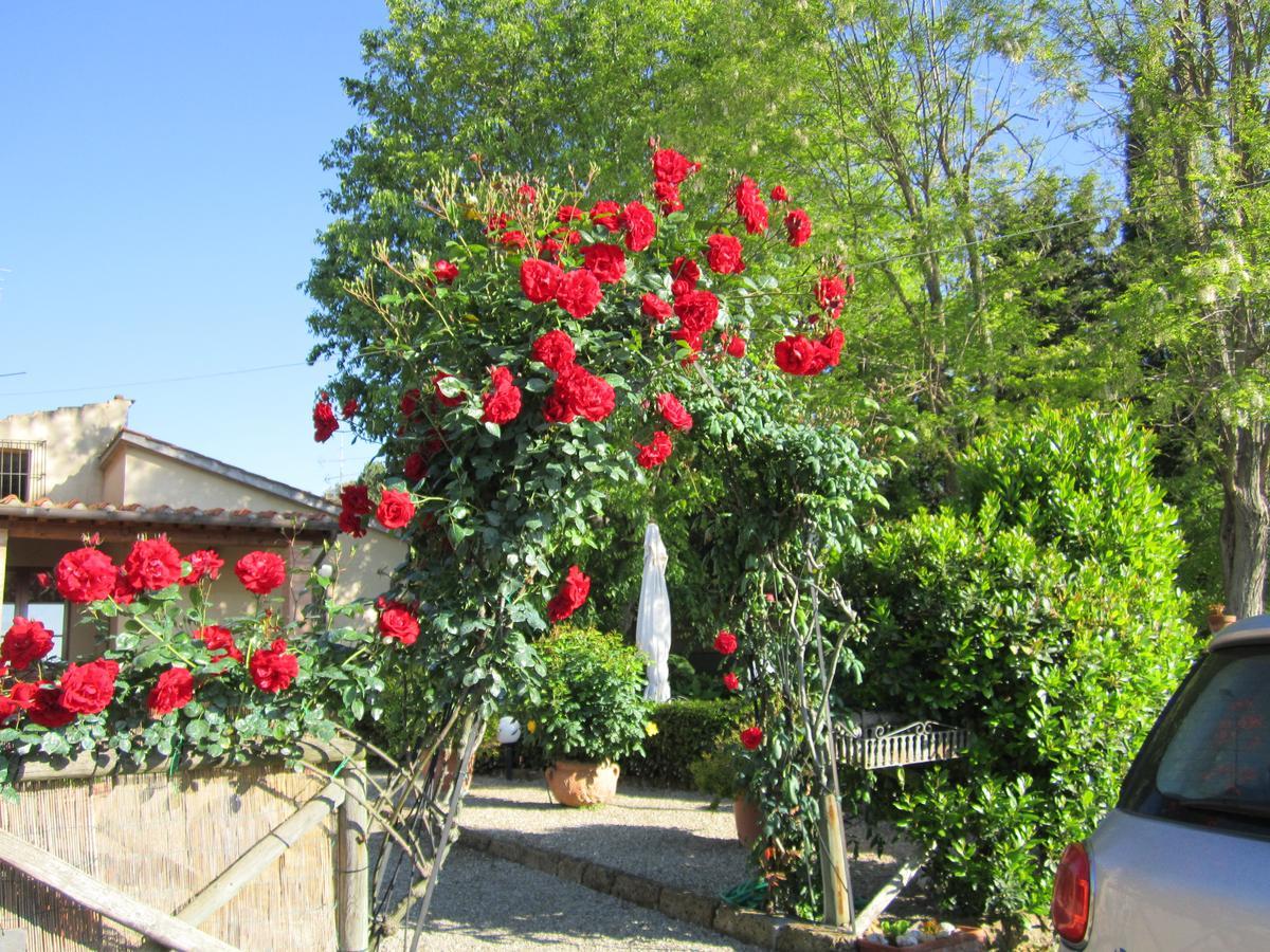 Agriturismo Il Colto San Gimignano Eksteriør billede