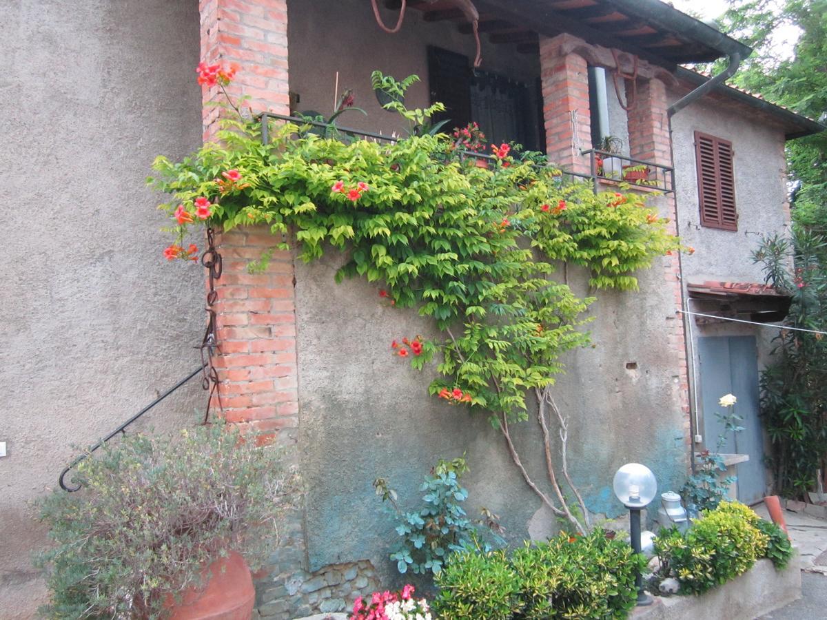 Agriturismo Il Colto San Gimignano Eksteriør billede